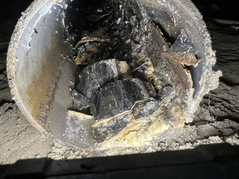 Gebroken rioolbuis met wortels en puin, opgegraven